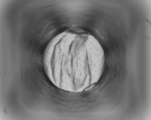 X0000096410044200802141550