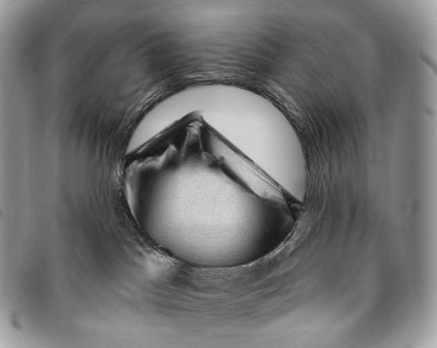 X0000096410045200802141550