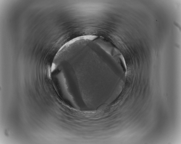 X0000096410046200802141550