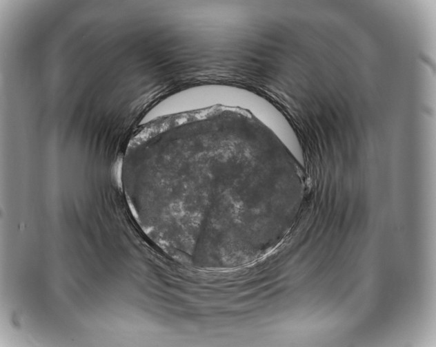 X0000096410047200802141550