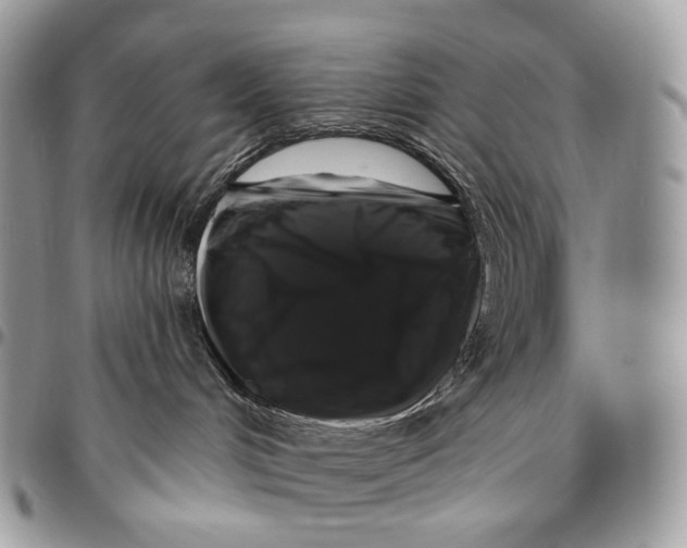 X0000096410048200802141550