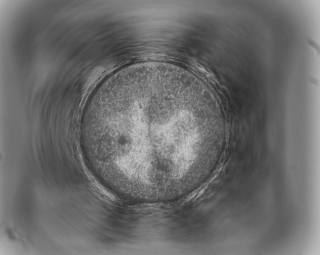 X0000096410049200802141550