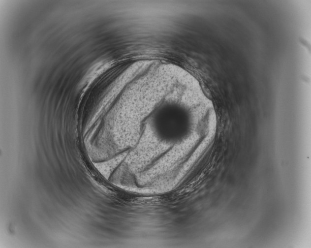 X0000096410050200802141550