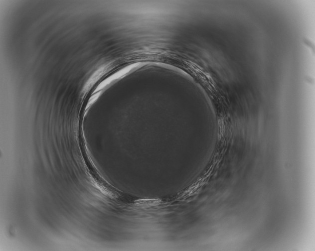 X0000096410051200802141550