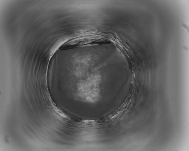 X0000096410052200802141550