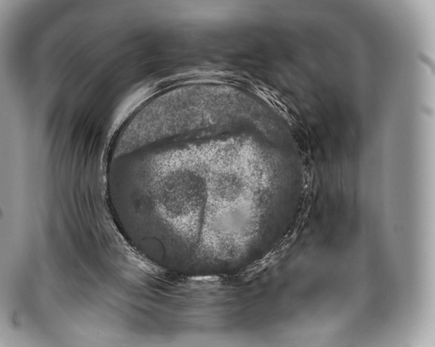 X0000096410053200802141550