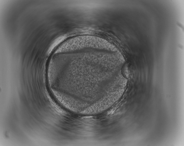 X0000096410054200802141550