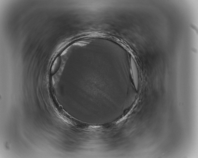 X0000096410055200802141550