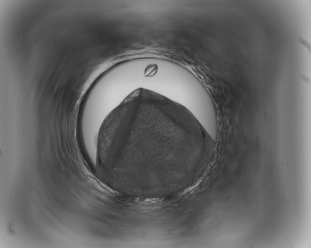 X0000096410056200802141550