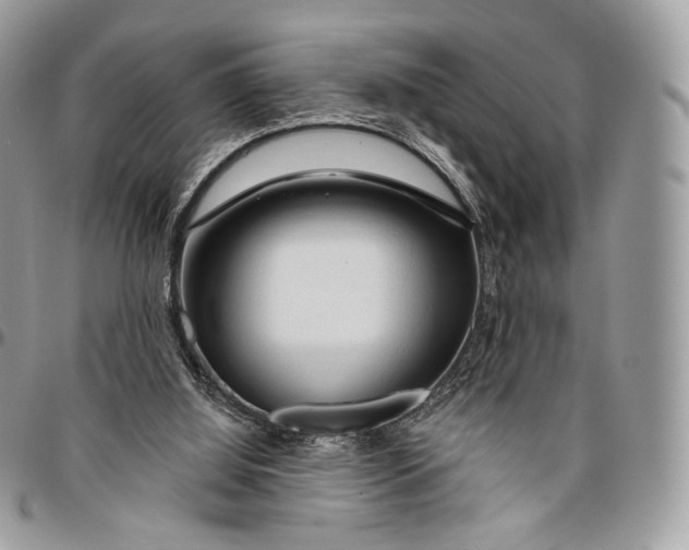 X0000096410060200802141550