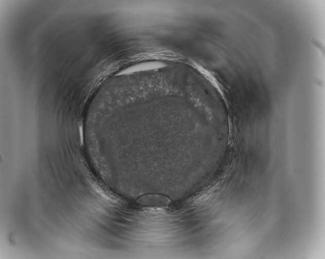 X0000096410061200802141550