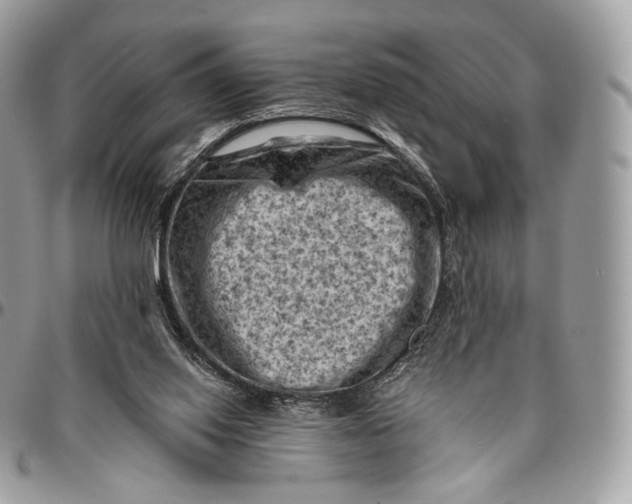 X0000096410062200802141550