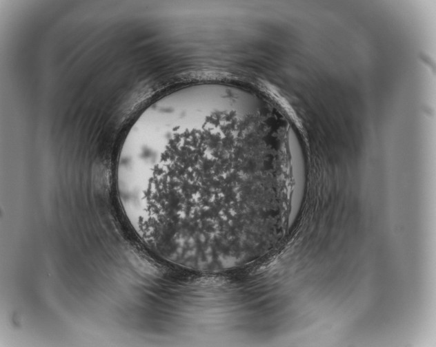 X0000096410063200802141550