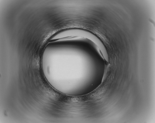 X0000096410064200802141550