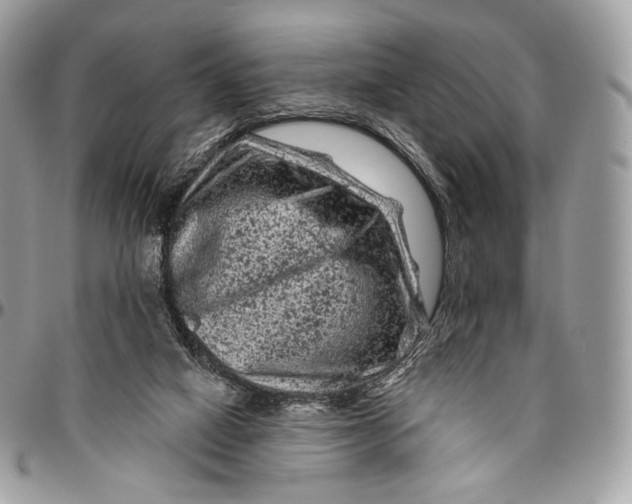 X0000096410066200802141550