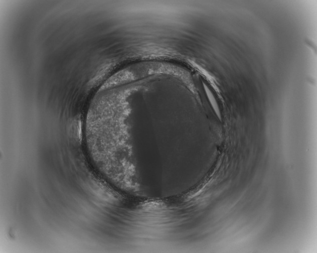 X0000096410067200802141550