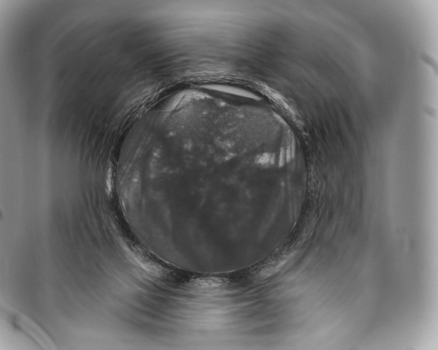 X0000096410069200802141550