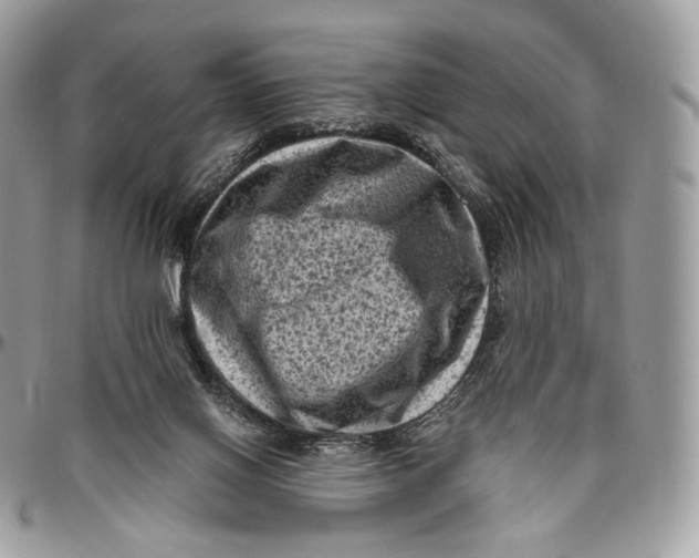 X0000096410070200802141550