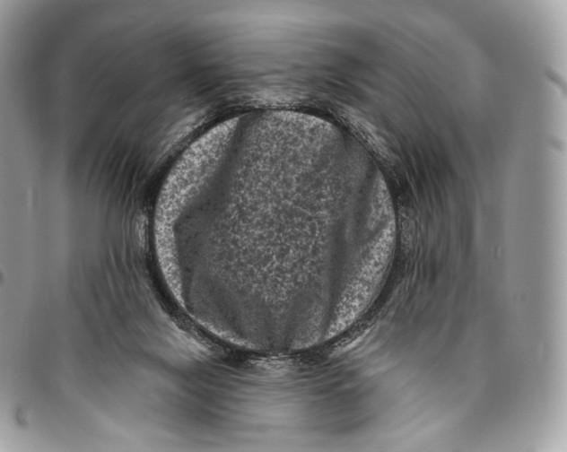 X0000096410071200802141550