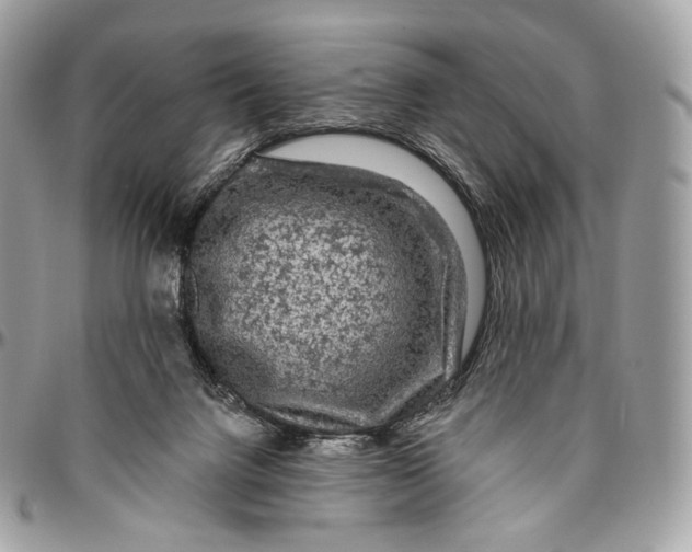 X0000096410072200802141550