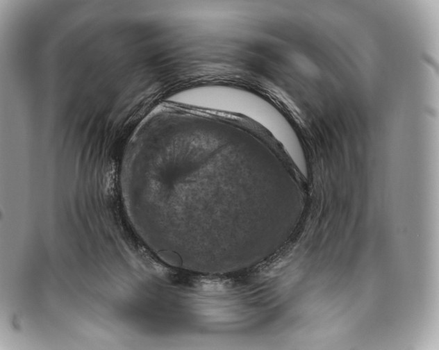 X0000096410073200802141550