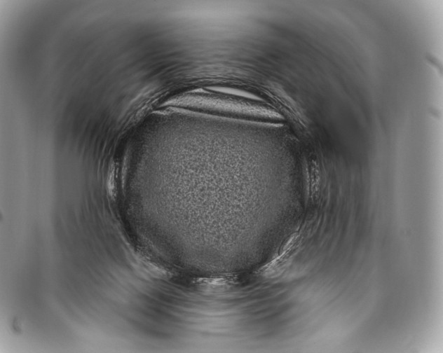 X0000096410074200802141550