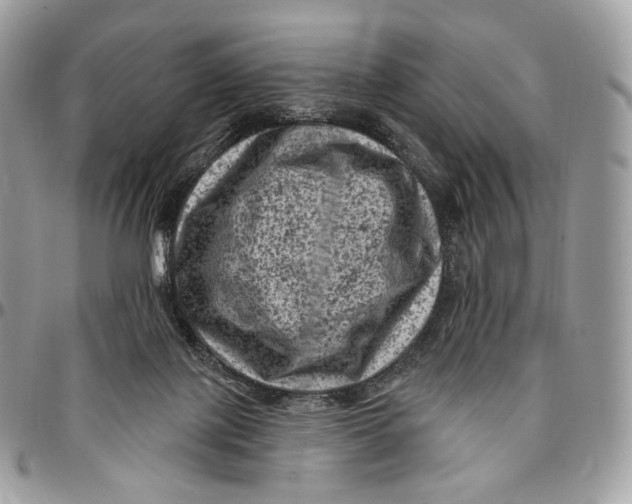 X0000096410075200802141550