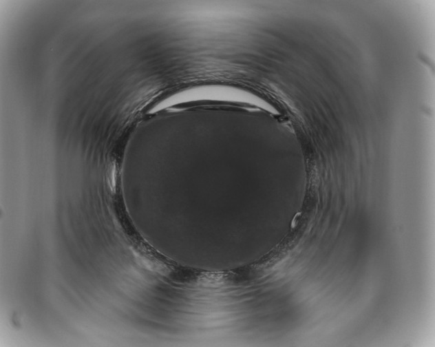 X0000096410076200802141550