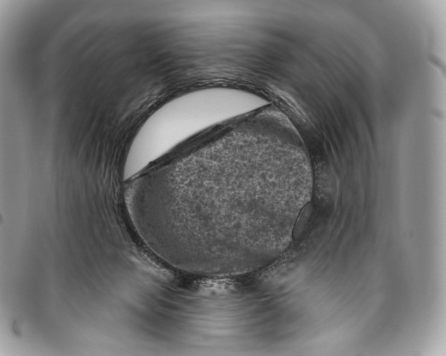 X0000096410077200802141550