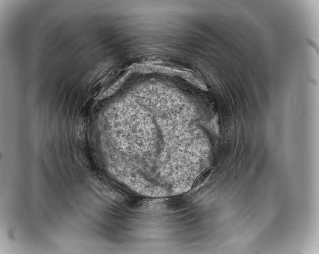 X0000096410078200802141550