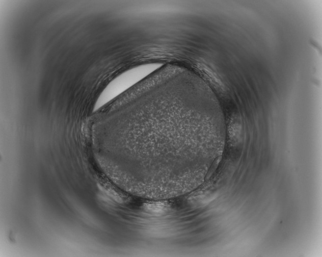 X0000096410079200802141550