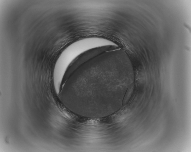 X0000096410080200802141550