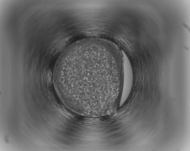 X0000096410081200802141550