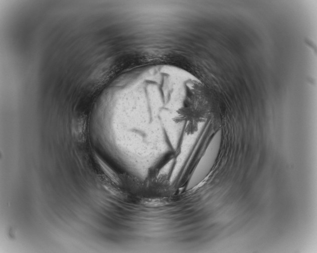 X0000096410082200802141550