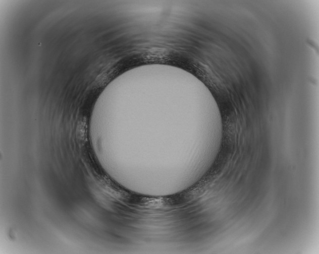 X0000096410083200802141550