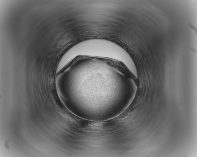 X0000096410084200802141550