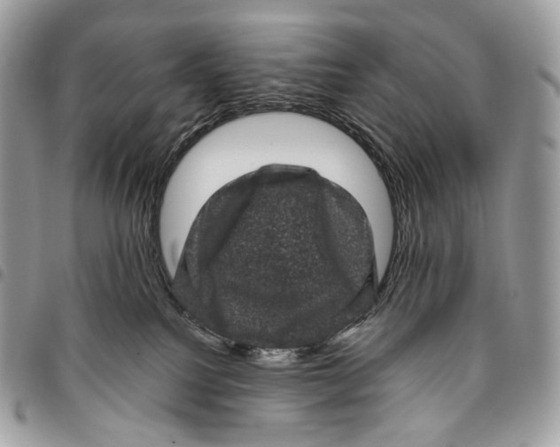 X0000096410088200802141550