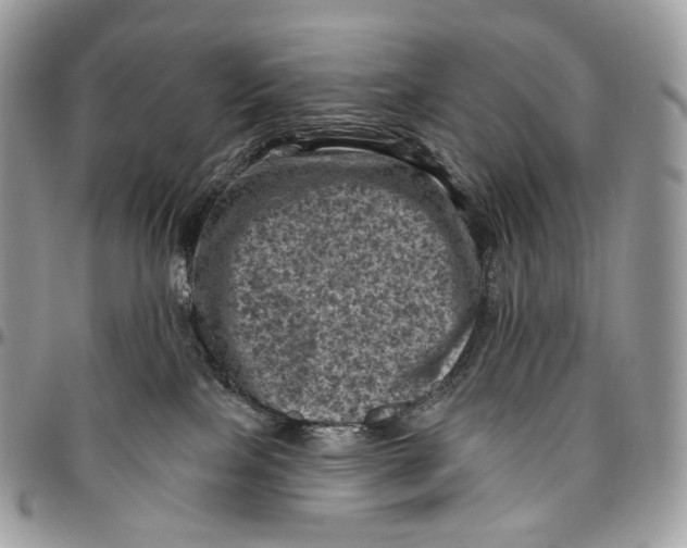 X0000096410089200802141550