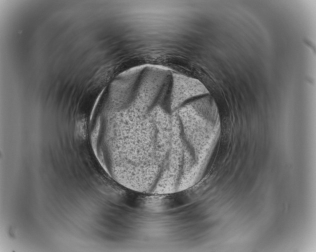 X0000096410090200802141550