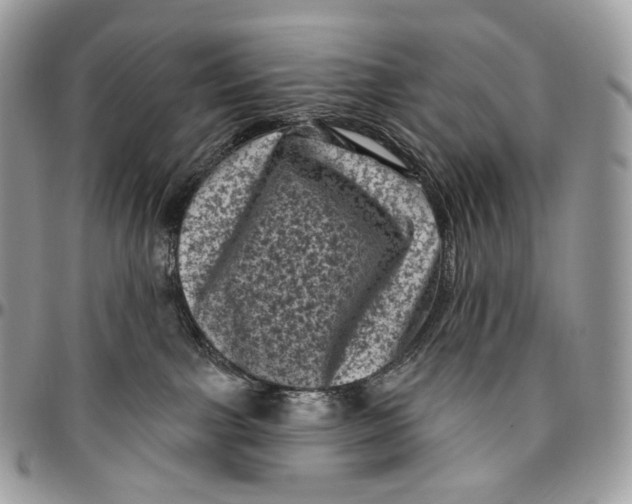 X0000096410091200802141550