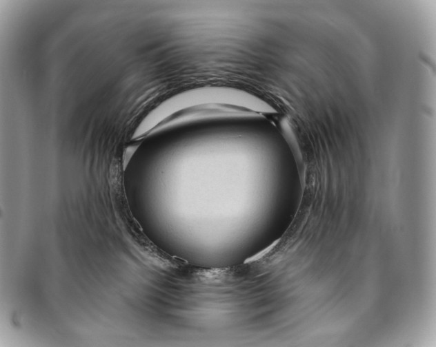 X0000096410092200802141550