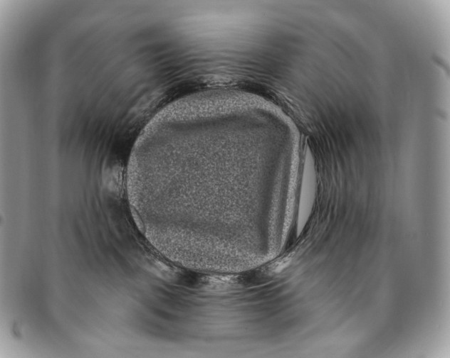 X0000096410093200802141550