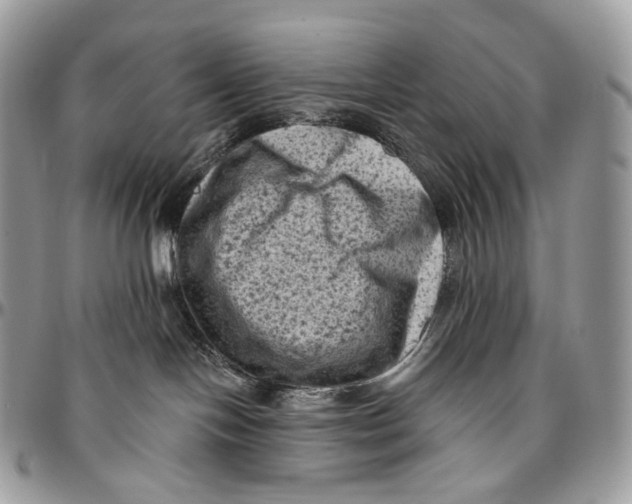 X0000096410094200802141550