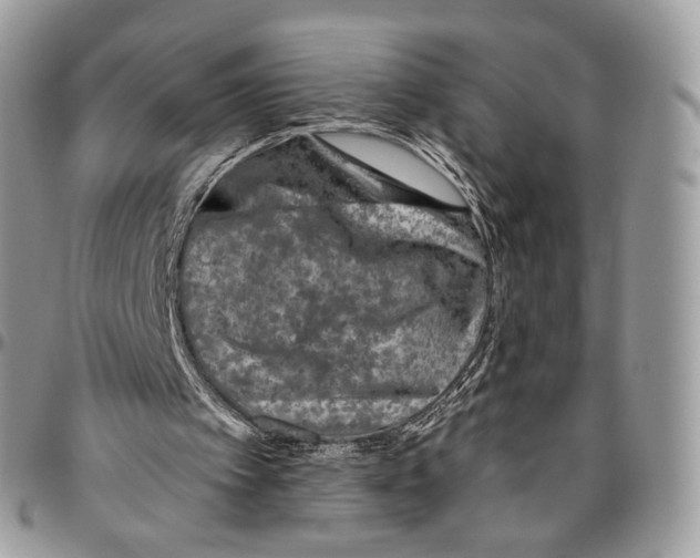 X0000096410097200802141550