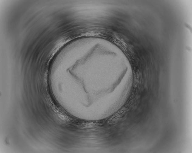 X0000096410098200802141550