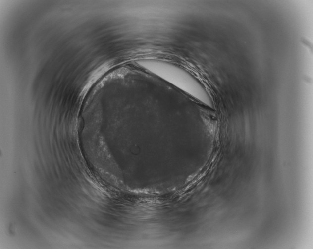 X0000096410099200802141550