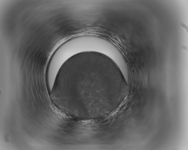 X0000096410100200802141550