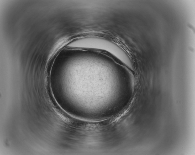 X0000096410101200802141550