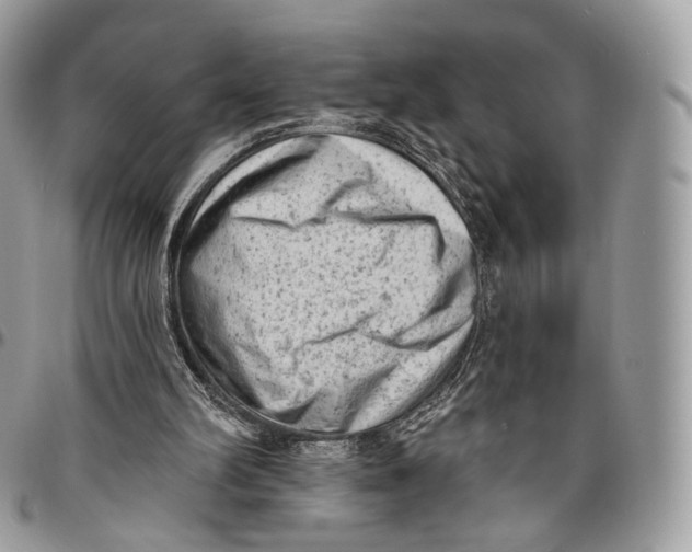 X0000096410102200802141550