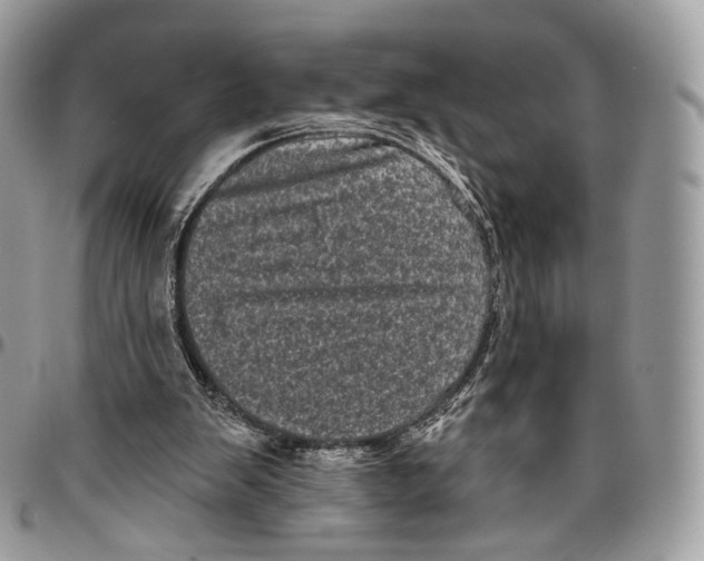 X0000096410103200802141550